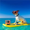 thumbnail image 4 of EVA Camera Protector Frame Universal Protective Waterproof Orange Cameras Case Handheld Housing Cases Surfing Water Sports Snorkeling Cover, 4 of 6