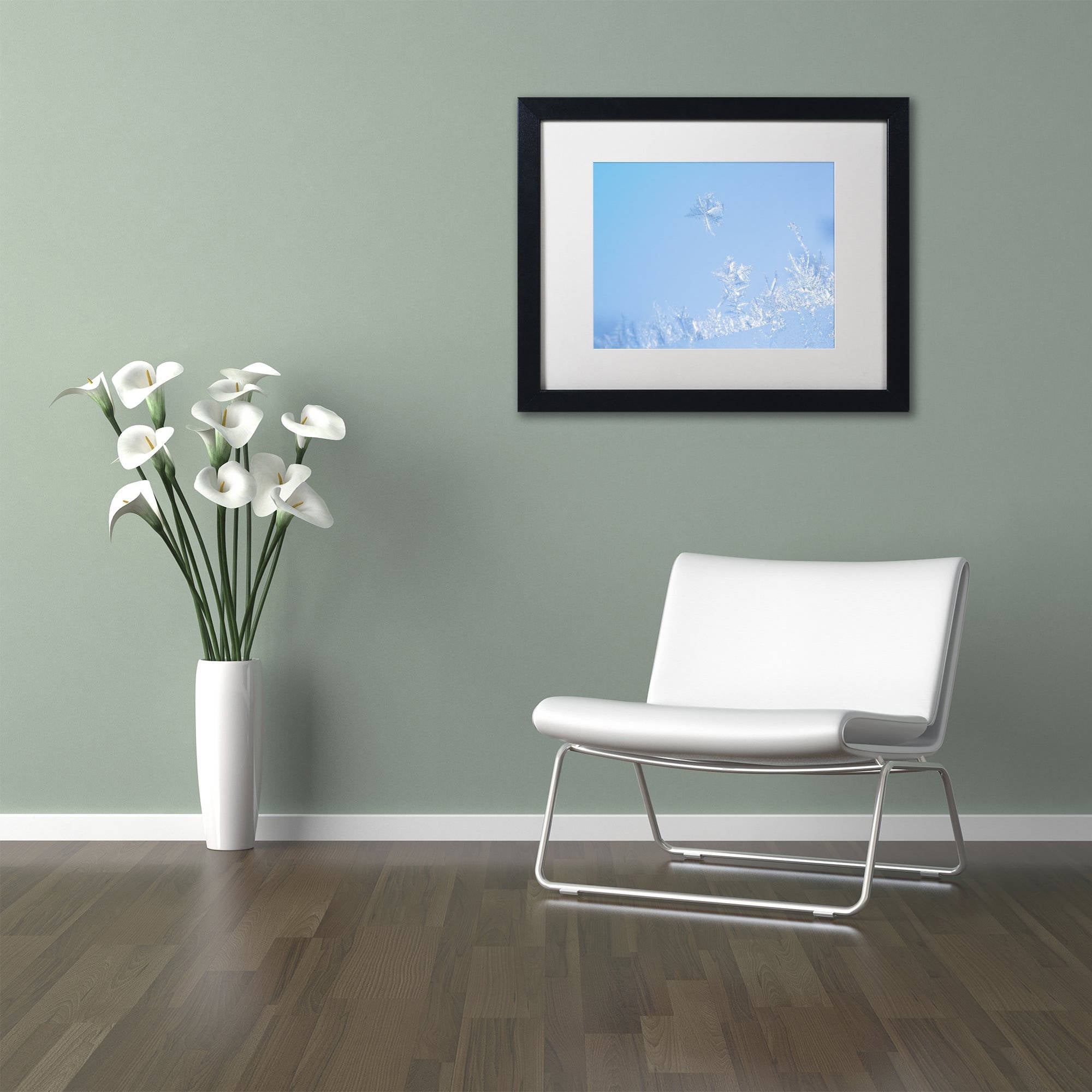 Trademark Fine Art "Window Frost" Canvas Art by Kurt Shaffer White Mat, Black Frame