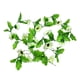 thumbnail image 1 of Bewildely Guirnalda Artificial de 18 Cabezas Simulación Flor Vid Colgante de Pared Plástico Plantas Artificiales, 1 of 6