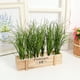 thumbnail image 4 of BRIGHTFUFU 12 Uds. Accesorios de césped Artificial, decoraciones de plantas de simulación realistas, 4 of 8