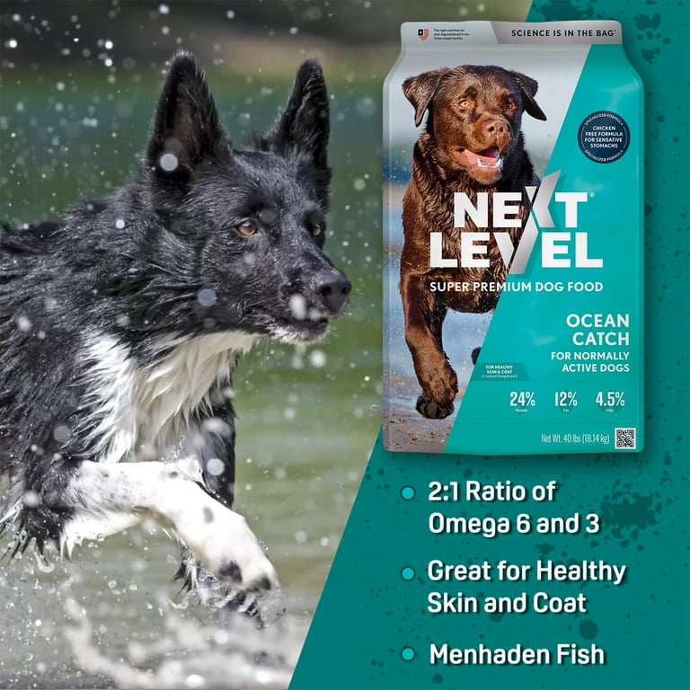 Next Level Ocean Catch Skin & Coat Recipe Dry Dog Food 4 lb with