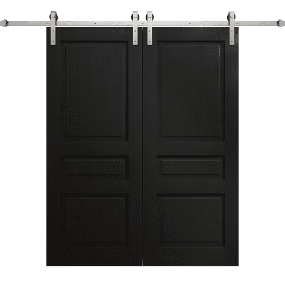 Modern Double Barn Door 36 x 80 inches | Ego 5012 Painted Black Oak | 13FT Silver Rail Track Set | Solid Panel Interior Doors