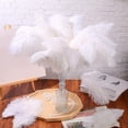 thumbnail image 6 of 10 Pack Ostrich Feathers, 10-12 in (25-30 cm) White Crafts DIY Plume for Centerpieces Home Wedding Party Table Feather Decoration, 6 of 7