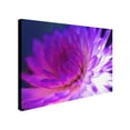 thumbnail image 3 of Trademark Fine Art 'Mod Dahlia' Canvas Art by Kathy Yates, 3 of 4