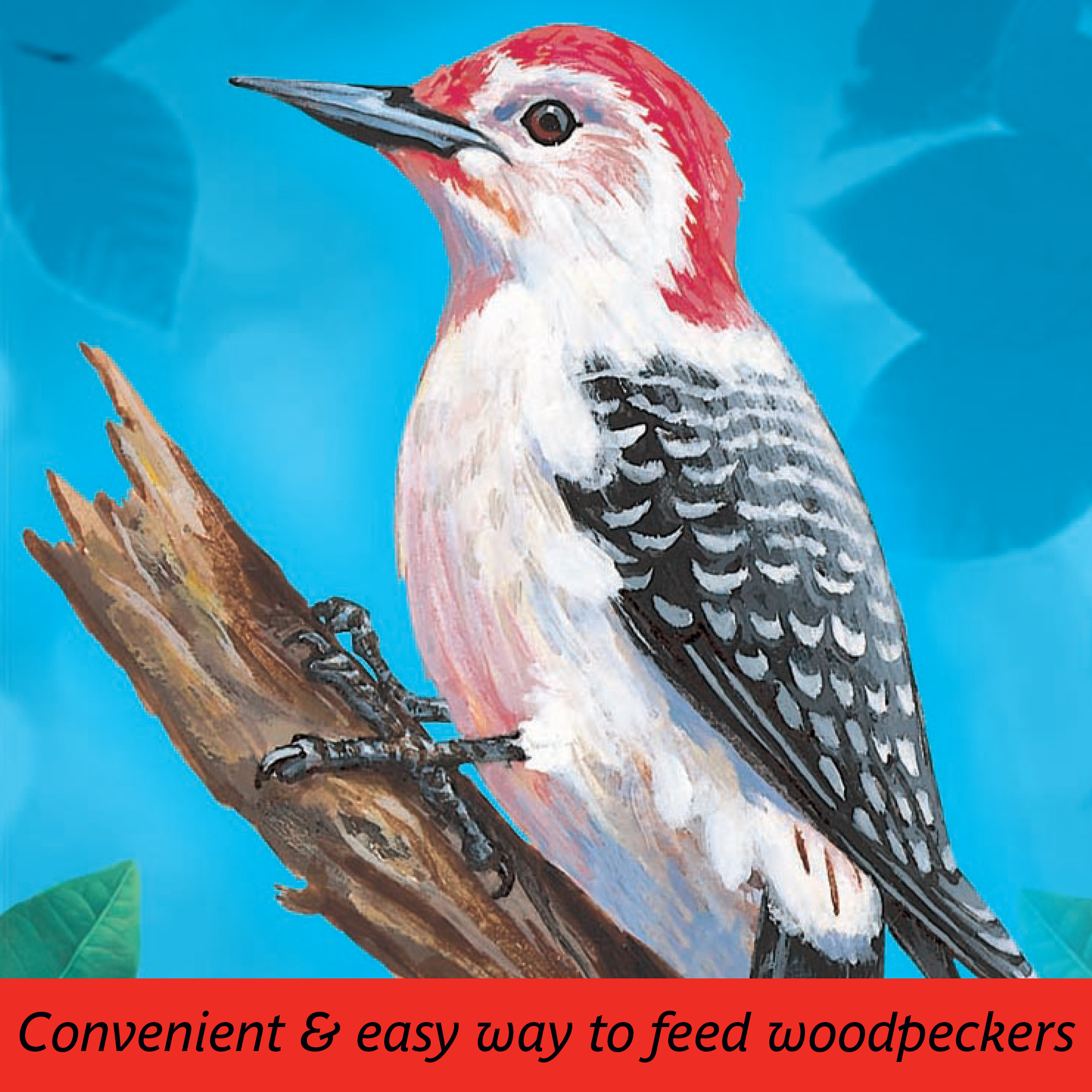 Pennington Woodpecker Bar Wild Bird Seed and Feed Cake, 11 oz eBay