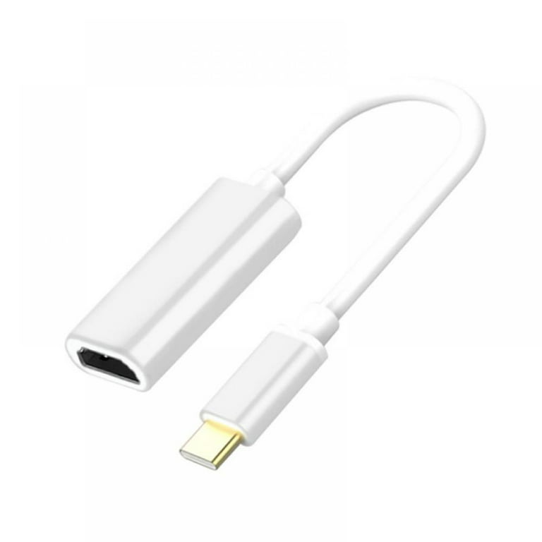 Adaptateur USB C vers HDMI (4K @ 60Hz), adaptateur USB-C 310 (4K
