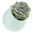 thumbnail image 1 of Arcadia Garden Products Small Round Wall Planter, Matte Mint, 1 of 7