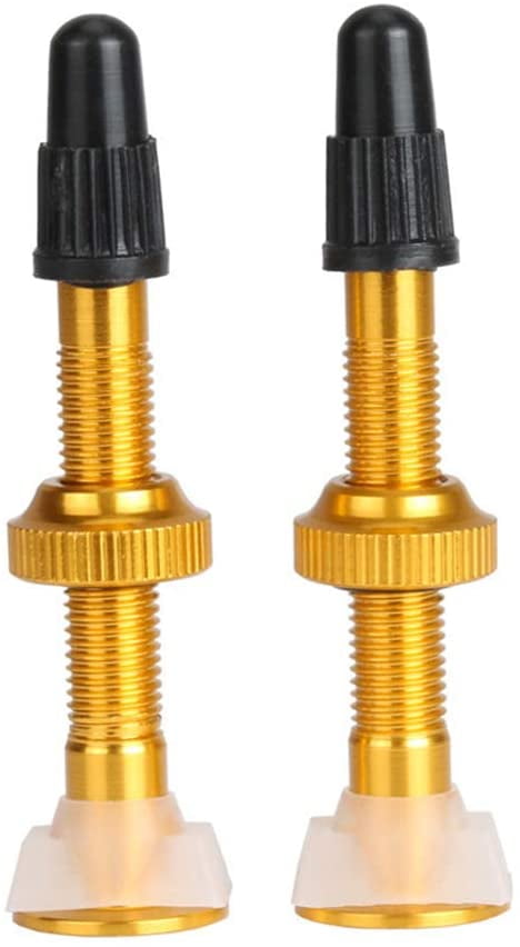 types of valve stems for bikes