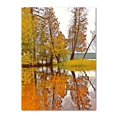 thumbnail image 1 of Póster de lienzo de decoración de otoño, hojas amarillas, vista de otoño, arte de pared, Impresión de pintura de calabaza, imagen de Halloween, sala de estar, dormitorio, 1 of 4