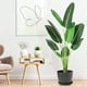 thumbnail image 4 of 60/48 pulgada artificial faux banana leaf plant con pot - 5 feet upright artificial plant con 8 trunks para home & oficina greenery decoration, 4 of 7