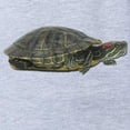 thumbnail image 2 of CafePress - FIN Turtle Red Ear ... - Cute Infant Baby Football Bodysuit, 2 of 3