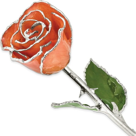 Fashion Lacquer Dipped Silver Trim Orange Rose Made In Thailand gm16754