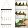 thumbnail image 2 of Planter Terrarium Suspendu avec Support de Jardinière en Bois, 2 of 8