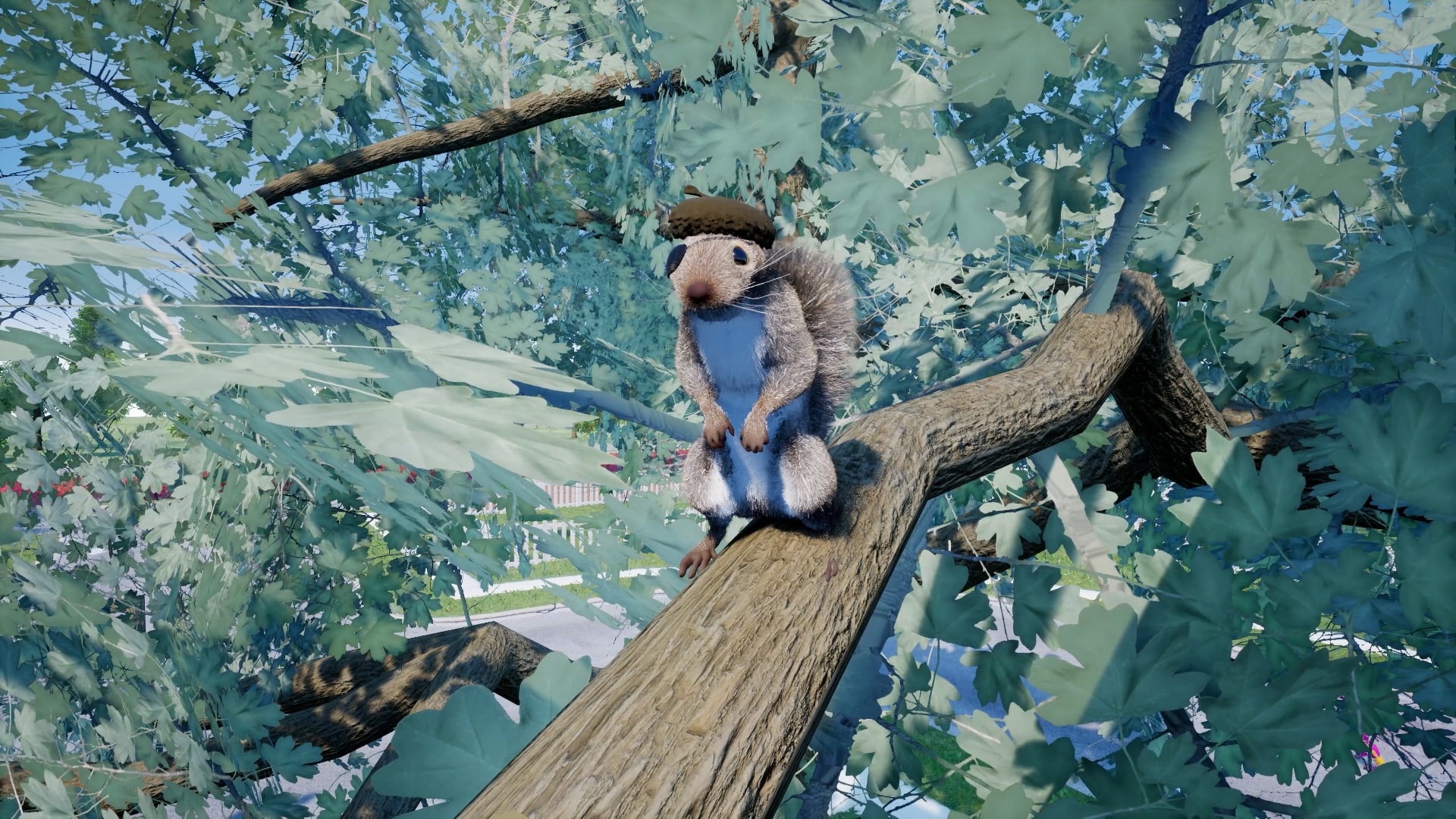 Squirrel With A Gun, PlayStation 5