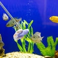 thumbnail image 3 of BRIGHTFUFU Varita de entrenamiento de peces Betta para acuario, varita de entrenamiento de peces Betta, juguete Betta para pecera, 3 of 8