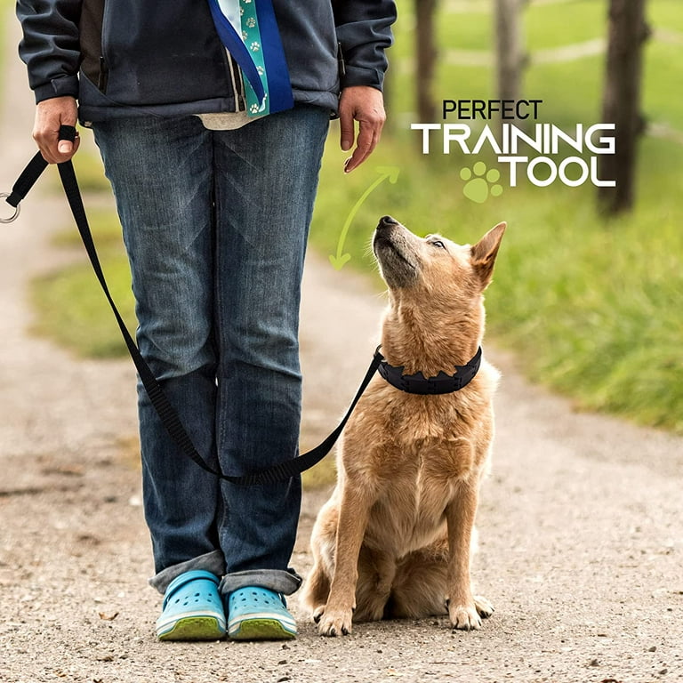 Pro collar hotsell for dogs