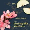 thumbnail image 4 of Air Mist - Japanese Cherry Blossom - 8.1oz: Disposable, Dye-Free, Phthalate-Free, 4 of 5