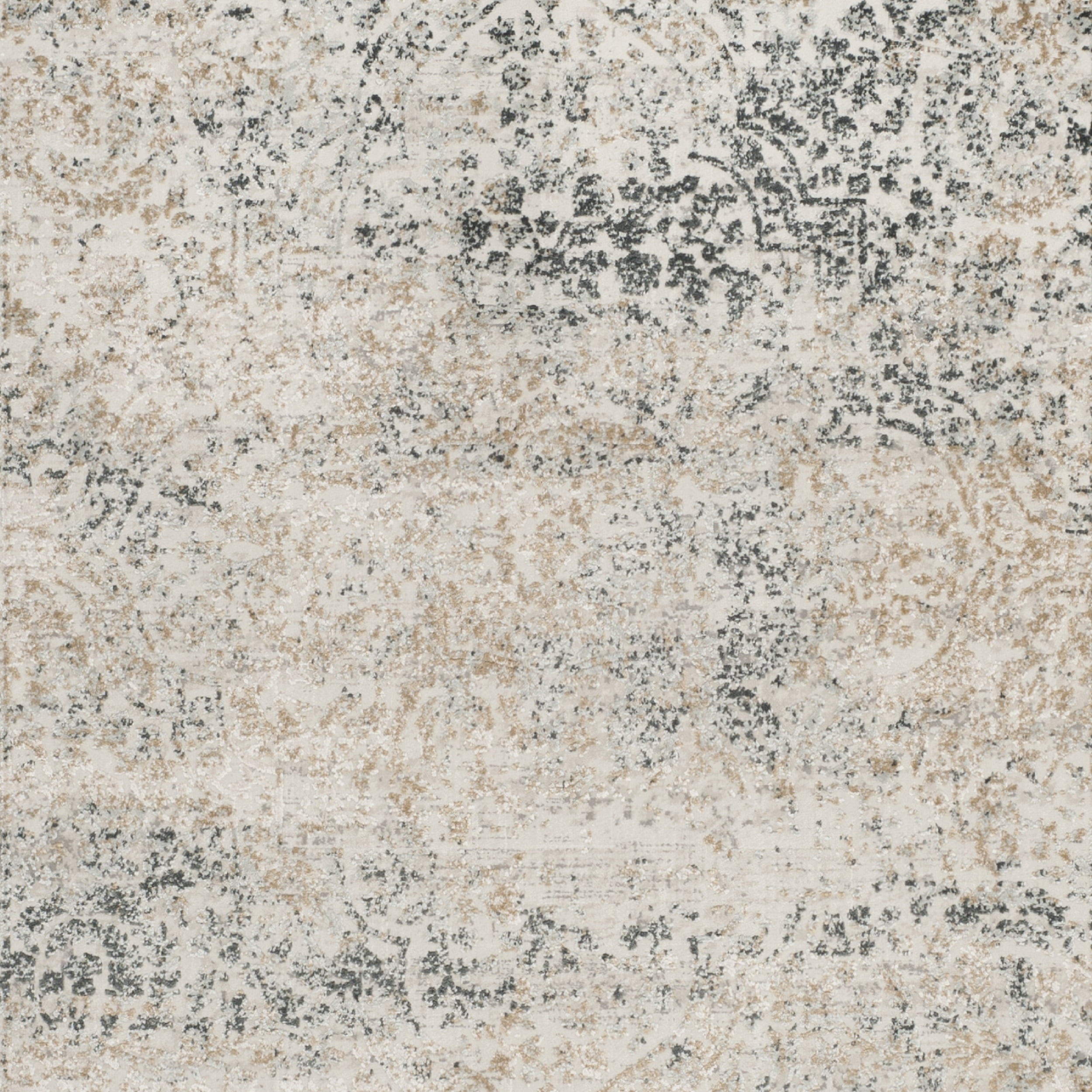 SAFAVIEH Princeton Tennyson Overdyed Floral Area Rug, Silver/Anthracite, 5'1" x 7'6"