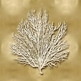 thumbnail image 2 of Kelly, Caroline 20x20 Black Ornate Wood Framed with Double Matting Museum Art Print Titled - Sea Fan on Gold I, 2 of 4