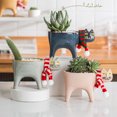 thumbnail image 4 of Maceta de Cerámica para Cactus 4 Piezas Sunnimix Decoración Verde y Blanco, 4 of 8