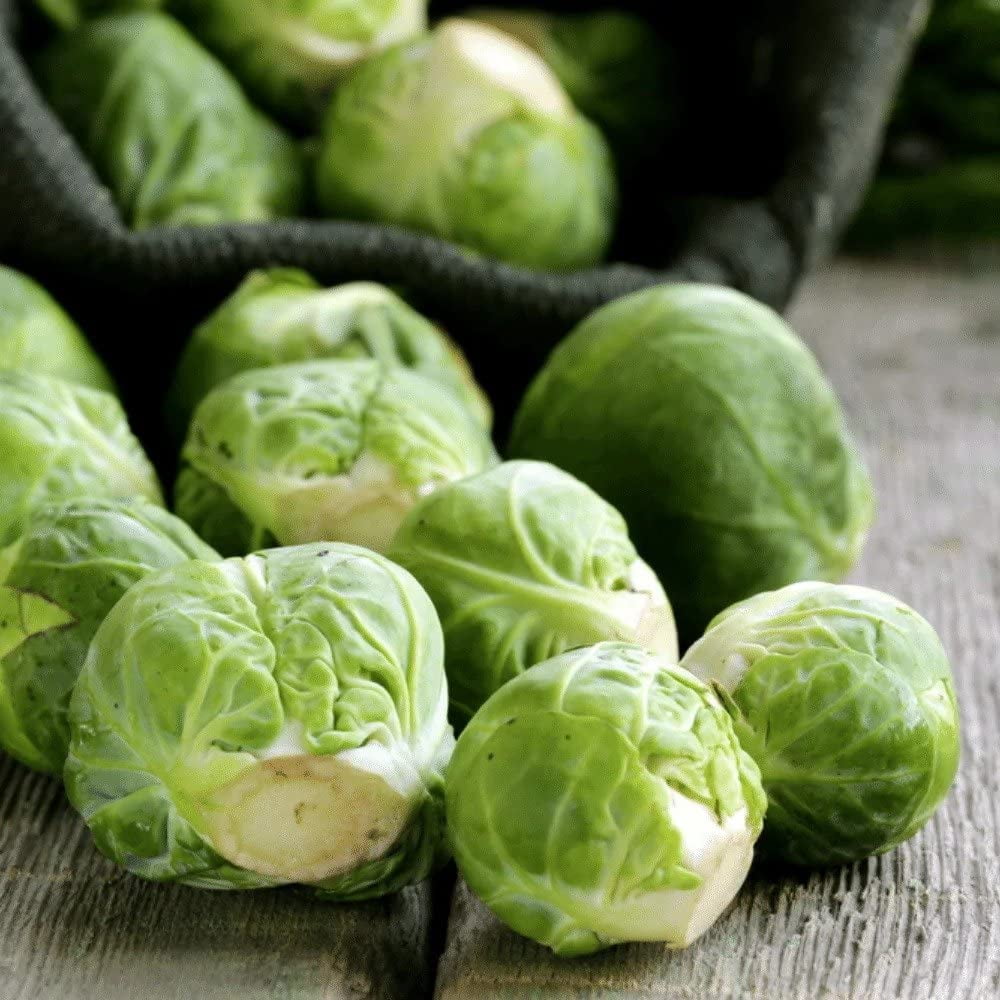 Foster’s Pickled Brussel Sprouts- Original- 16oz (2 Pack)- Pickled Brussels are Fresh, Gluten Free, Fat Free and Preservative Free - Brussels From a Traditional, Organic, Pickled Vegetable Recipe