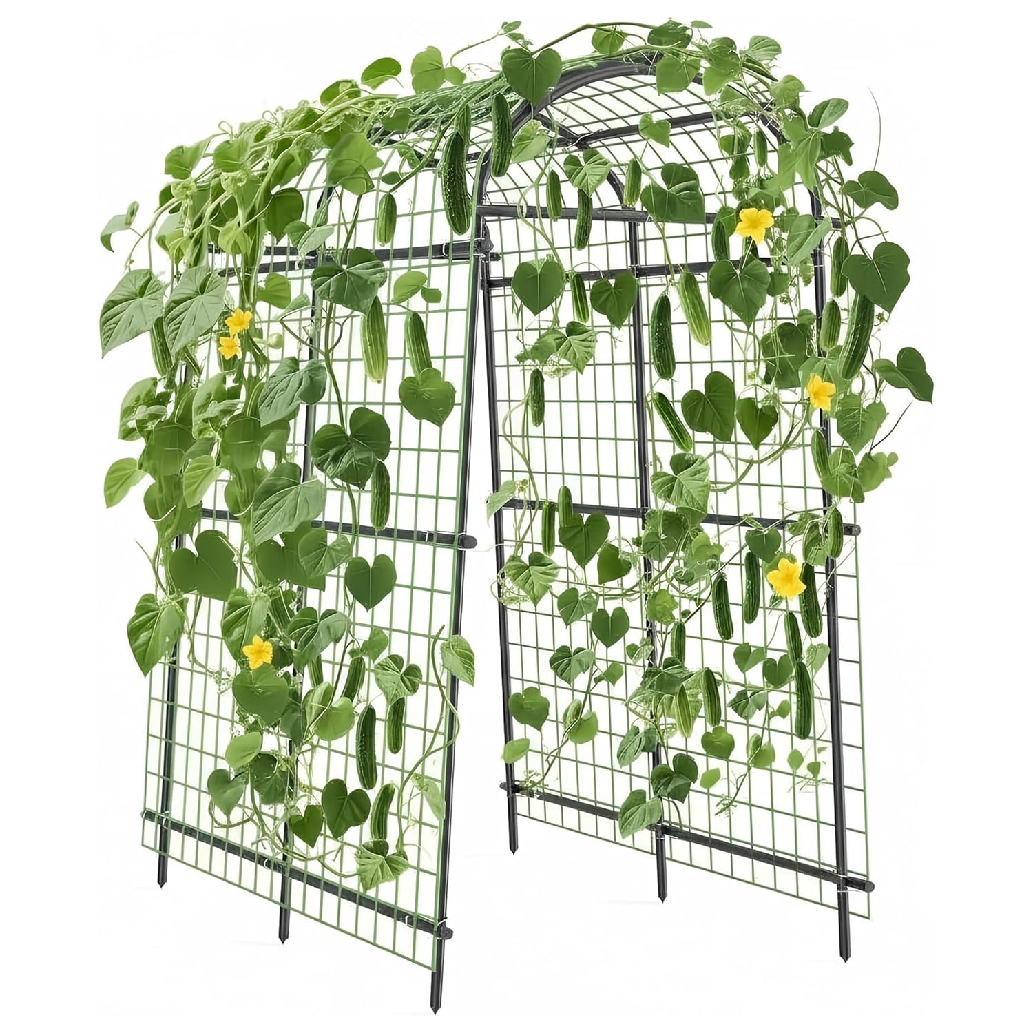 7FT Cucumber Trellis for Raised Bed, Heavy Duty Metal Garden Arch for Climbing Plants