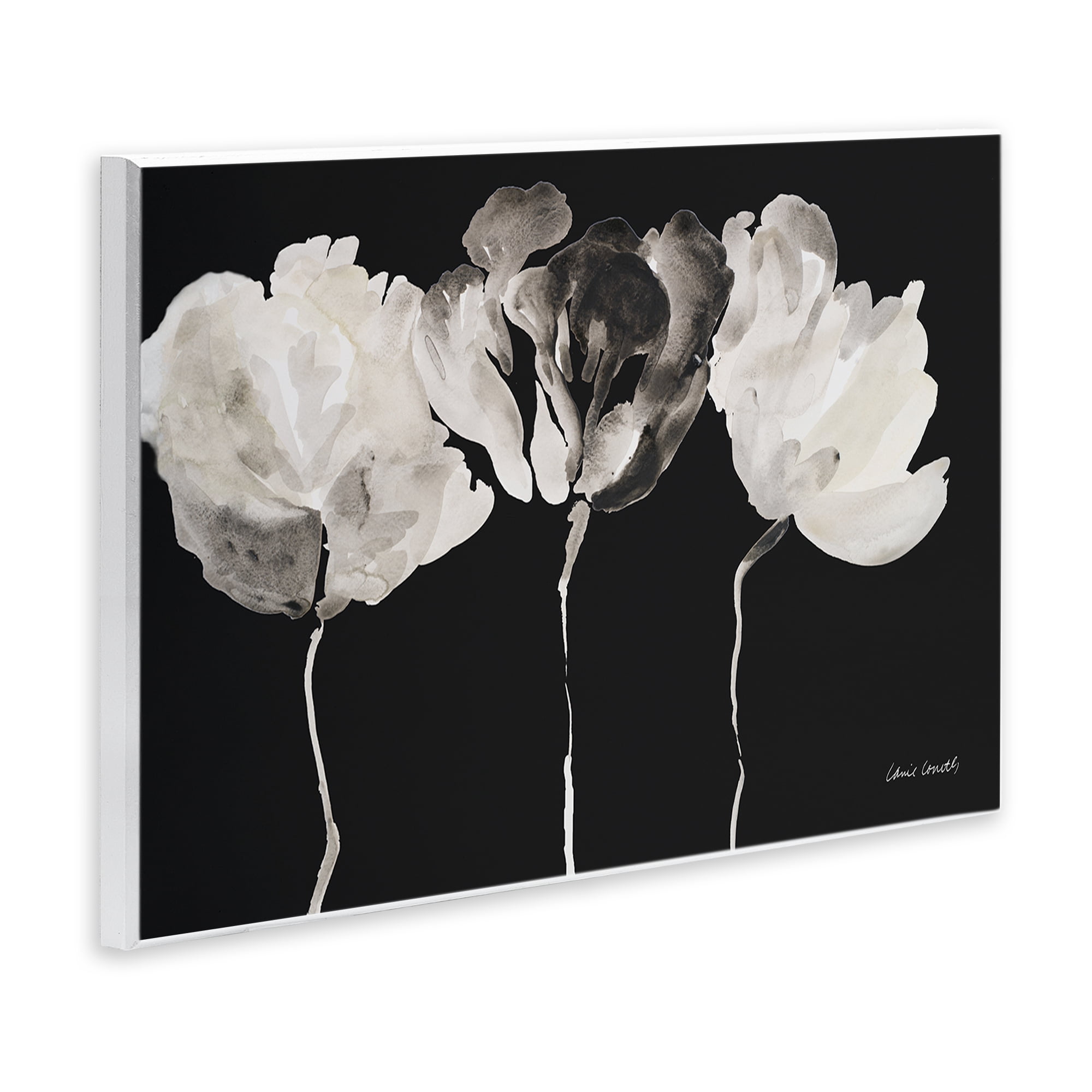 Stupell Industries Trio In Light On Black Wall Plaque Art, design by Lanie Loreth
