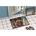 thumbnail image 2 of Carolines Treasures 7402JMAT Boykin Spaniel Doormat 24x36 36"L x 24"W multicolor, 2 of 4
