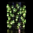 thumbnail image 5 of Promoción, AGILITY 4M 40 LED Fairy Turtle String Lights Impermeable Alimentado 8 Modos con Control Remoto y Temporizador para Bodas, Festivales, Interiores y Exteriores (Cactus, USB) Sailing  Electrónica, 5 of 5