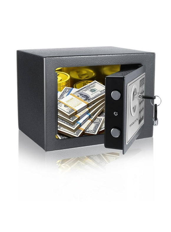 Fire Safes in Safes & Lockboxes