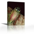 thumbnail image 1 of Metallic Wood-boring Beetle portrait, Panama - Contemporary Fine Art Giclee on Canvas Gallery Wrap - wall décor - Art painting - 15 x 23 Inch - Ready to Hang, 1 of 2