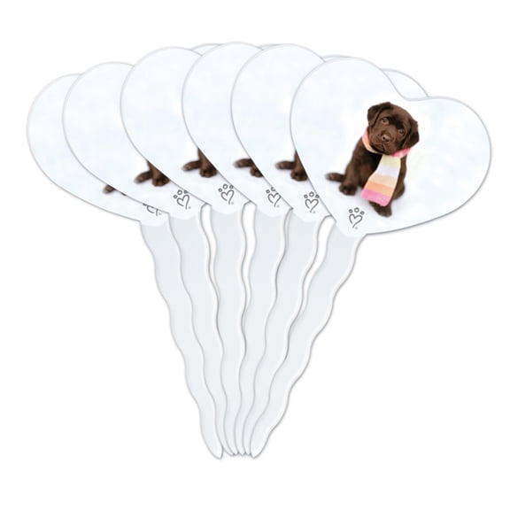 Lab Labrador Puppy Dog Wearing Scarf Heart Love Cupcake Picks Toppers Decoration Set of 6