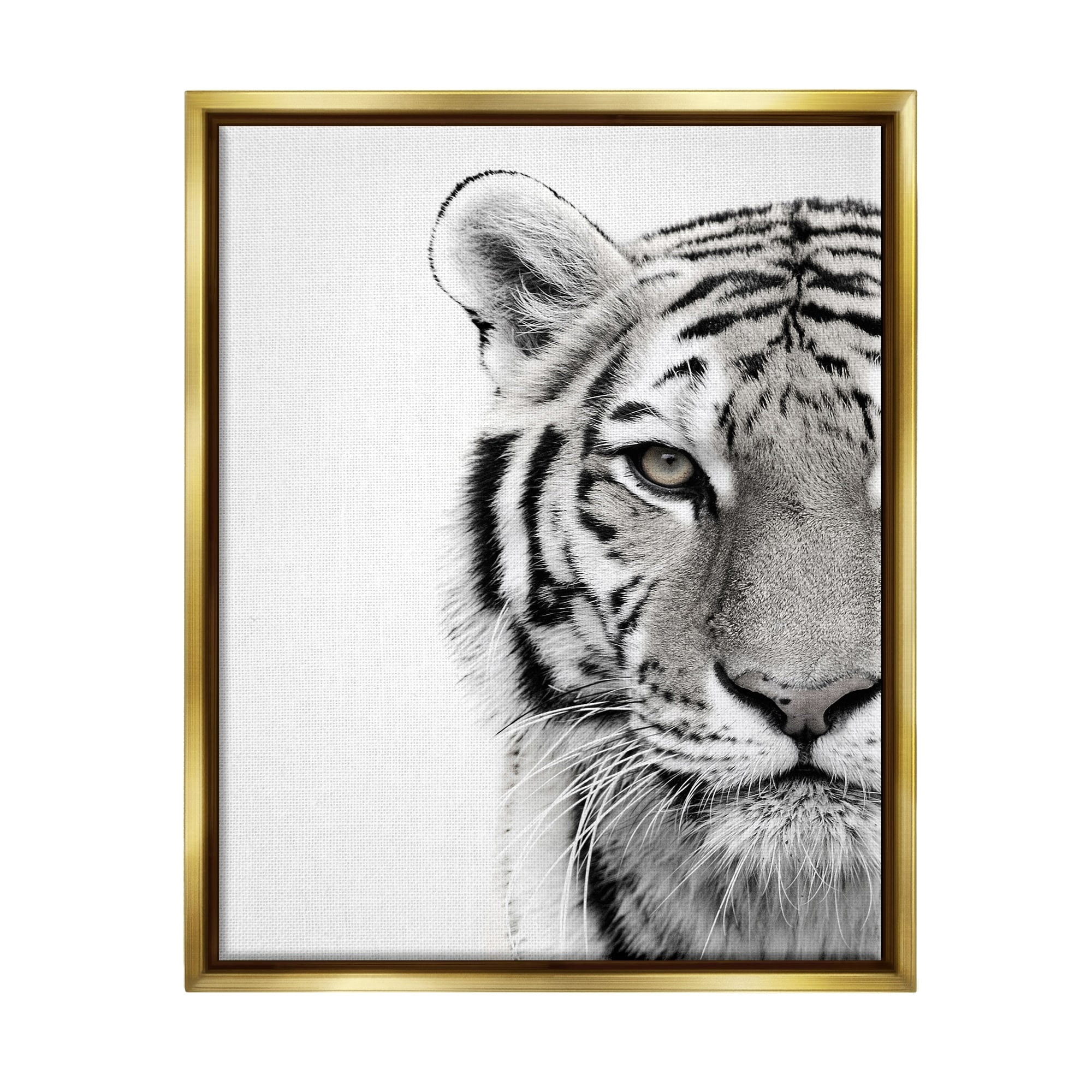 Stupell Industries White Tiger Close Up Black and White Photography Metallic Gold Framed Floating Canvas Wall Art, 16x20, by Design Fabrikken