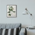 thumbnail image 2 of Stupell Industries Botanical Plant Illustration Green Leaves Vintage Design Framed Wall Art by Unknown, 2 of 8