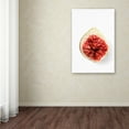thumbnail image 3 of Trademark Fine Art 'Fig In Half' Canvas Art by Johanna, 3 of 3