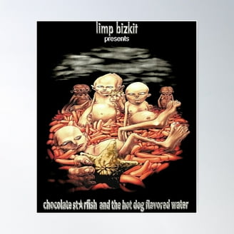 Limp Bizkit Poster Significant Other New 24x36 - Walmart.com