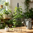 thumbnail image 4 of JHyouerji Vine Plant Trellis for Climbing Plants,Black DIY Adjustable Height Planting Basket Support Frame for Outdoor Indoor Vines Vegetable Fruits Flowers, 4 of 6