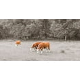 thumbnail image 2 of Frank, Assaf 14x9 Black Ornate Wood Framed with Double Matting Museum Art Print Titled - Cows in the field, 2 of 4