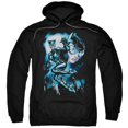 thumbnail image 1 of Batman & Moonlight Cat Adult Pull-Over Hoodie, Black - 5X, 1 of 1