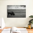 thumbnail image 3 of Elephant Stock Yellowstone National Park Wall Art - Horizontal Canvas Wall Art - Living Room Wall Decor - Animal Canvas - Black And Gray Decor By Jessica Hendricks - 12" x 8", 3 of 8
