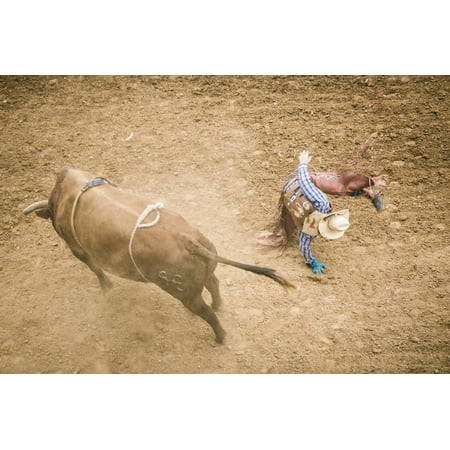 Taos, New Mexico, USA. Small town western rodeo. bull riding competition. Print Wall Art By Julien