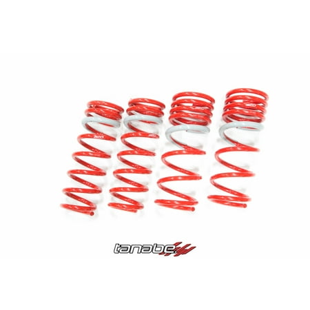 Tanabe Df210 Lowering Springs - Tanabe DF210 Springs for 03-06 Infiniti G35 Sedan - TDF082