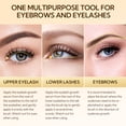 thumbnail image 6 of LANBENA Lash Serum, Rapid Eyelash Growth Serum, Lash Serum for Eyelash Growth Thickness, Stronger, Healthier Lashes & Brows, 4ml, 6 of 9