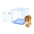 thumbnail image 5 of Carlson Pet Products Compact Deluxe Metal Dog Crate with Pan, Blue, Small, 24"L, 5 of 11