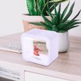 thumbnail image 2 of SOPOTUTU Betta Fish Tank Plastic Aquarium With Compact Design For Home Office Decor 1Pack, 2 of 5