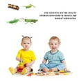 thumbnail image 3 of Maoww Animal Growth Cycle Toy Plastic Simulated Children Life Cycle Set Kid Educational Tool Kit, Animal 17, 3 of 8