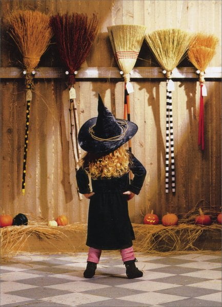Details about   Chicken Witch On Broomstick Funny Halloween Card Greeting Card by Avanti Press 