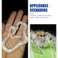thumbnail image 3 of OULII 8Pcs Ventilative Snake Cage Transparent PP Breeding Tank Indoor Breeding, 3 of 8