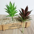 thumbnail image 3 of Plantas suculentas artificiales, hierba de loto, agave, plantas decorativas realistas n. degree 18, 3 of 9