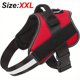 thumbnail image 1 of Keep Your Dog Safe and Comfortable with this Reflective No-Pull Dog Harness!, 1 of 5